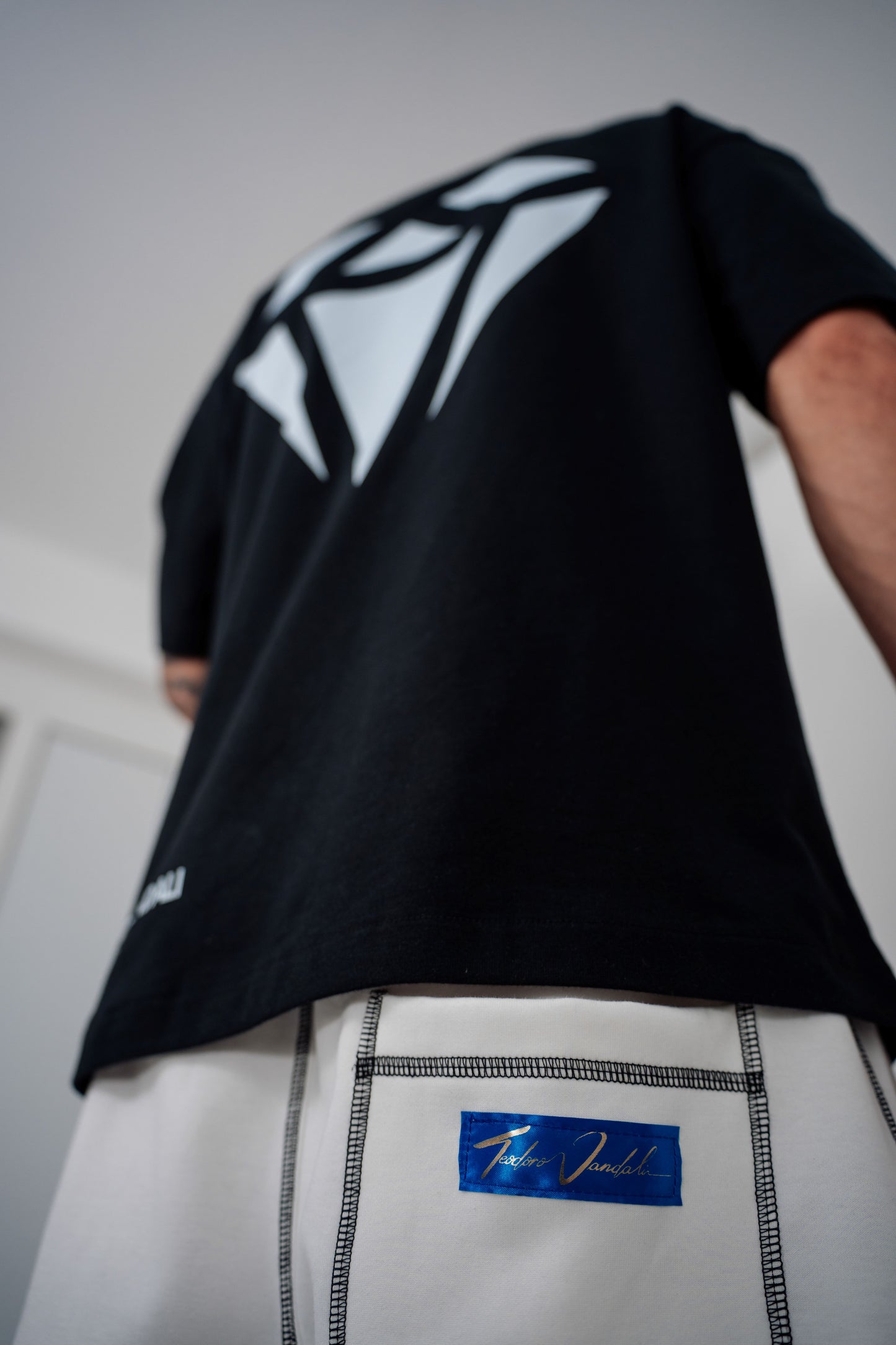 T-Shirt " Teodoro Vandali "